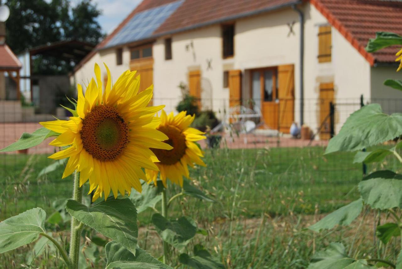 Gîte La Ferranderie Saint-Hilaire-de-Gondilly Zimmer foto